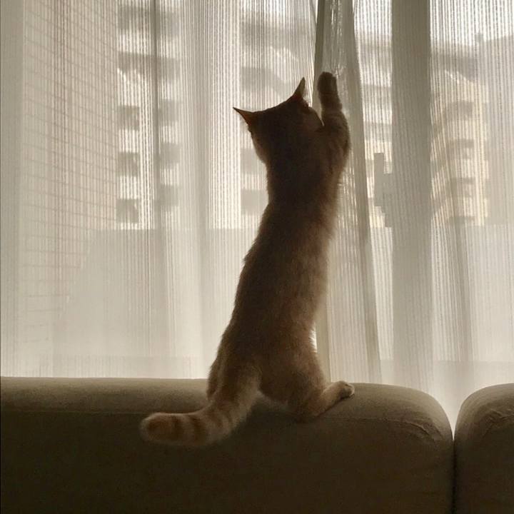 71e1ef73 4a7b 42aa 80b6 b16c848763a4 1529534350134