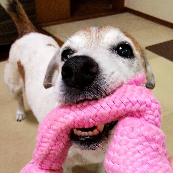 71e20e83 c5ba 4c19 9c7b 0540f246d495 1594536287857