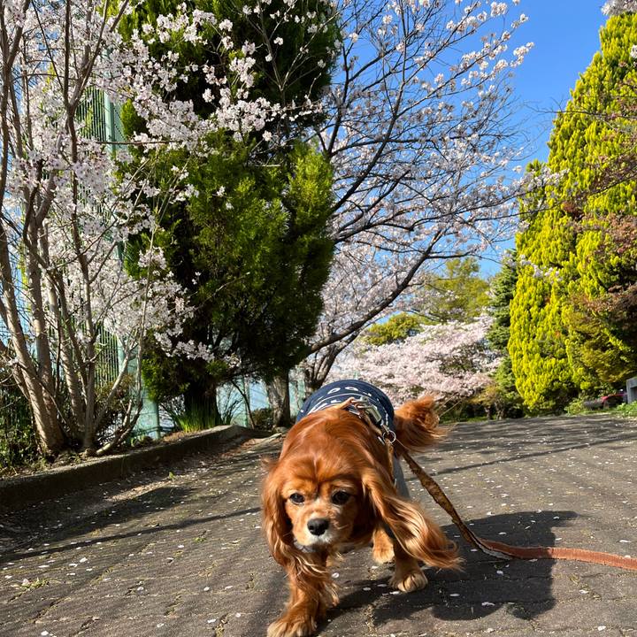 71e21c1b 042a 41fd a1d1 4150b495b2da 1680309278783