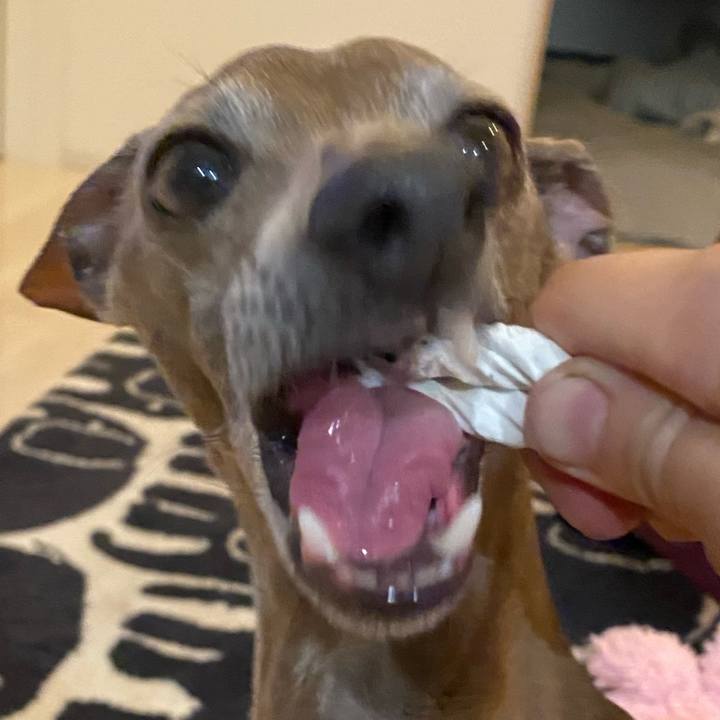 71e22198 f272 4dae 892f 76ea8c2b5eeb 1768908912813