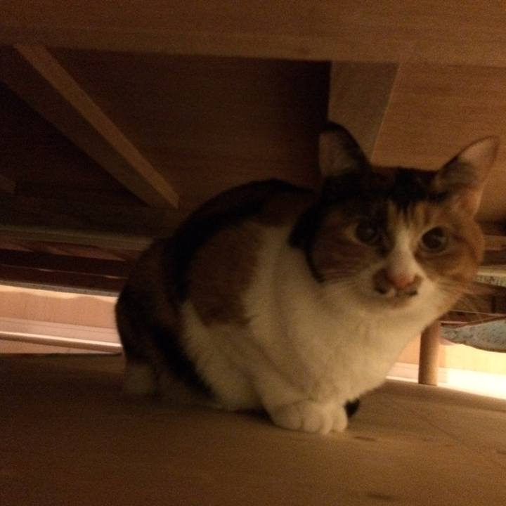 71e22bbc 14e5 45bd b995 4525b1f74dd4 1511266524886