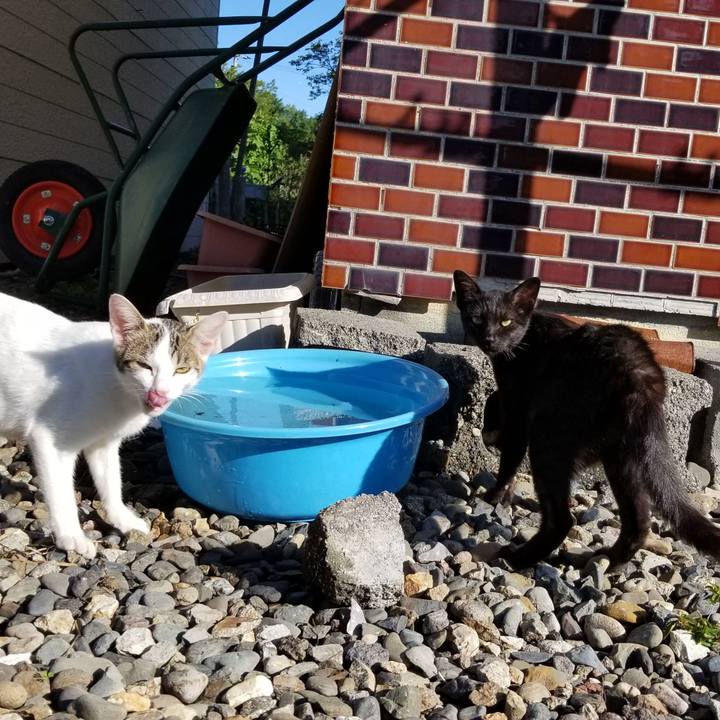 71e24775 02fa 4962 a41e da48e6530b3c 1568357851649