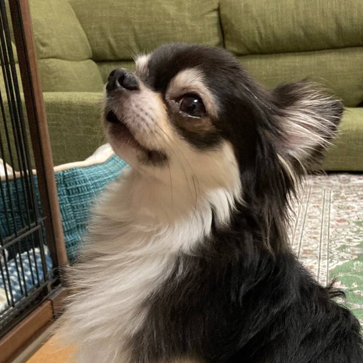 71e24864 2c39 4641 970c 098e714733e2 1662901792435