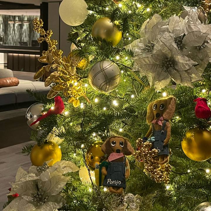 71e260ed fade 453a 908a b120537d873b 1732212448139