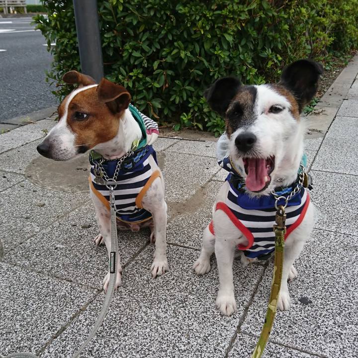 71e2ac38 78ae 4593 b64b dbe60c19f13e 1569712552118