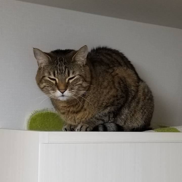 71e2d26b 29f7 465c ab99 8ae5adf4ad85 1618782169262