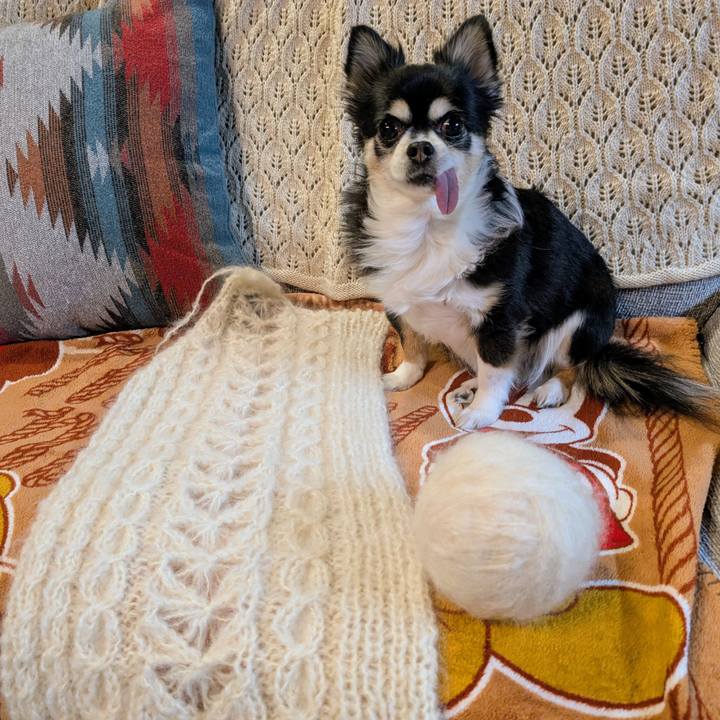 71e2d2ce 634c 4362 ae92 85c3fb1be9f7 1767346322946