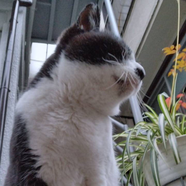 71e2eece 4585 48ec 9e0f ae62e4eead65 1704614088451