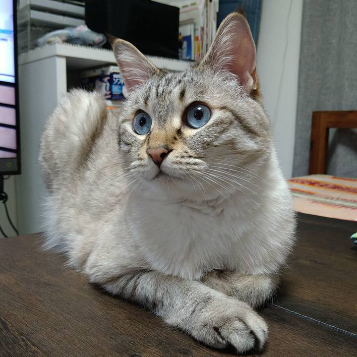 71e2f57a 0d22 45cd 808b 0c222cfc03ee 1716029673884