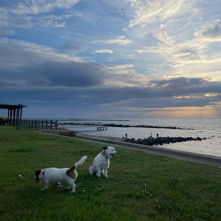 71e30c12 836f 4d30 955c c85b15063e01 1659434587089