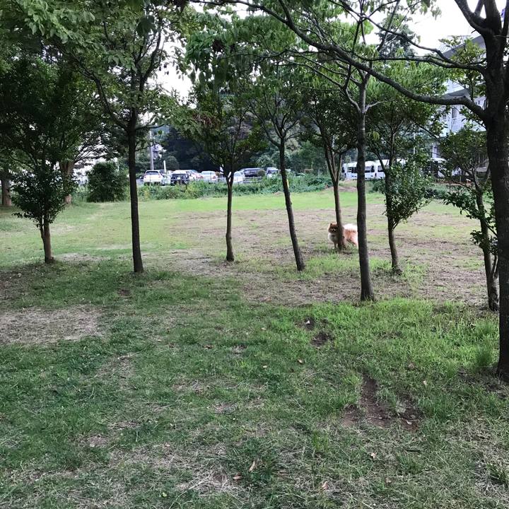 71e37f36 a3a7 428b b111 b35a85a05229 1531786282913