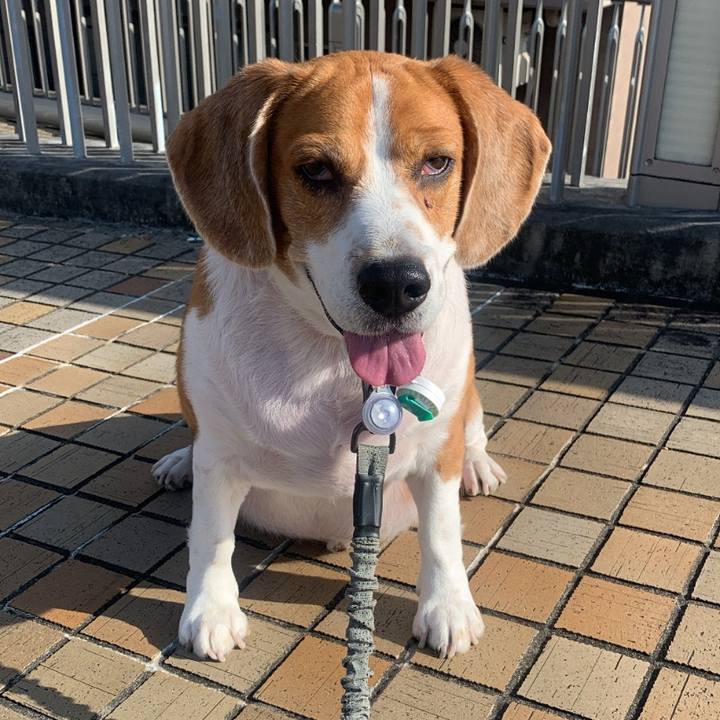 71e3a05e d2ad 4bcf 9def ece9b2a3bd72 1670730064853