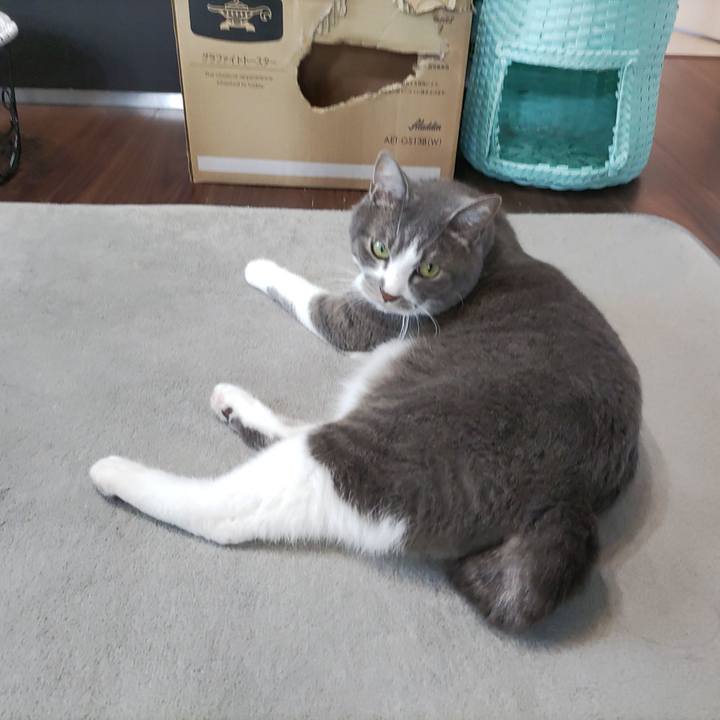 71e3a38d eab4 4249 a7c6 eff0307c6ab6 1716605904994