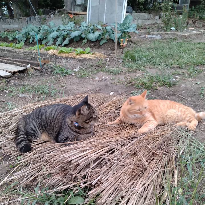 71e3a565 af0e 467b b381 de6e2cff1283 1694253059730