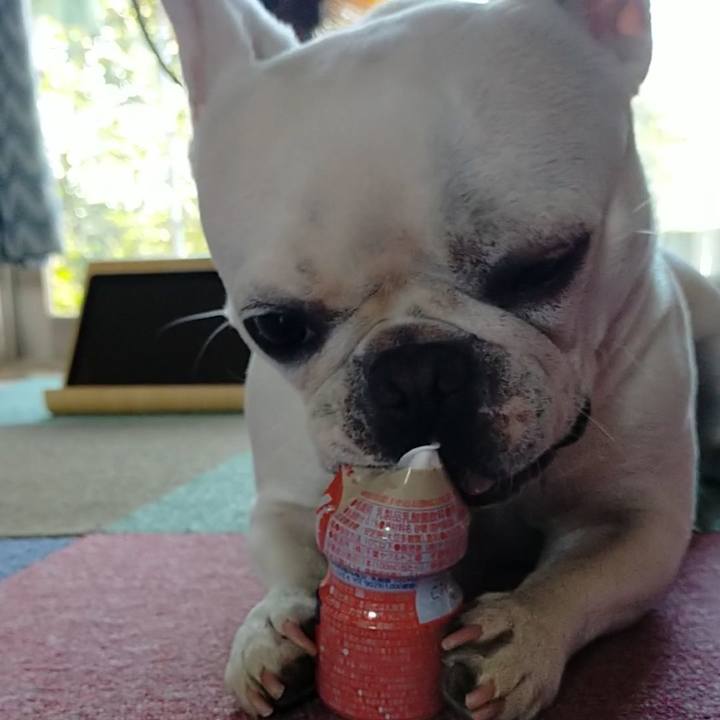 71e3cf2c 5fb5 4d19 96eb f13268b3ba0b 1659398132996