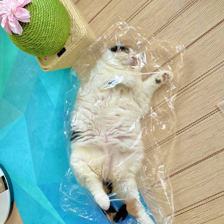 71e3d2b1 ef84 44f9 ae69 0d7717105c25 1658444227646