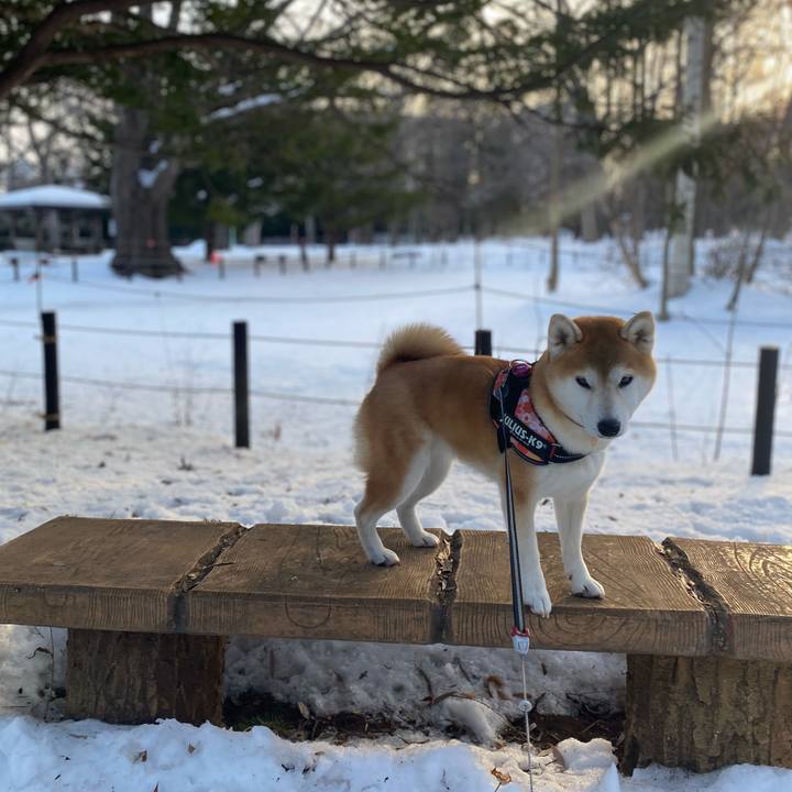 71e407db 7a87 4123 a993 f34127b5cbed 1611795505991