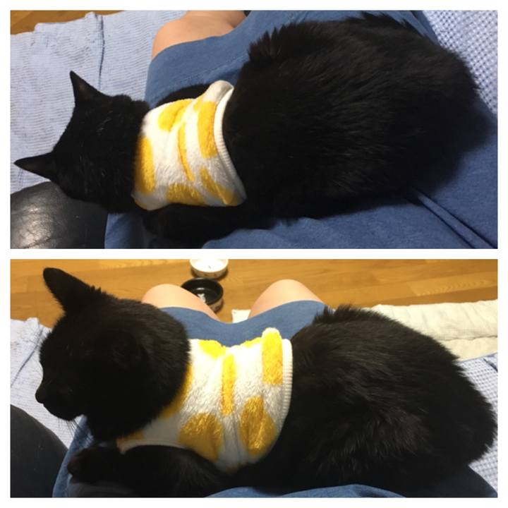 71e41b89 368b 4d3c b2d2 c3011d50f2ae 1539606917022