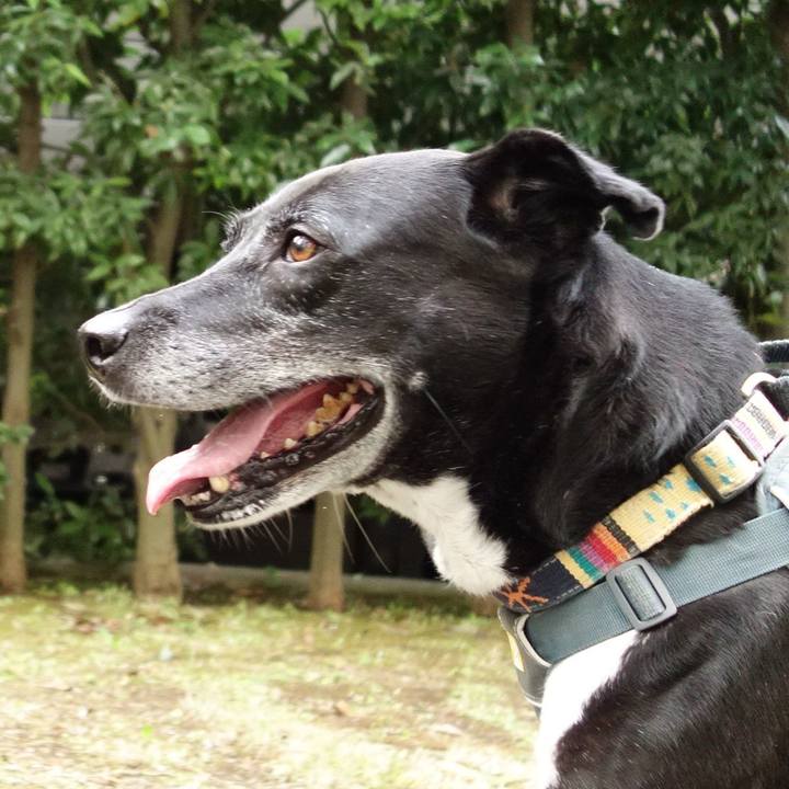 71e437a6 3b79 4f58 8c18 b261bcdce061 1731714451601