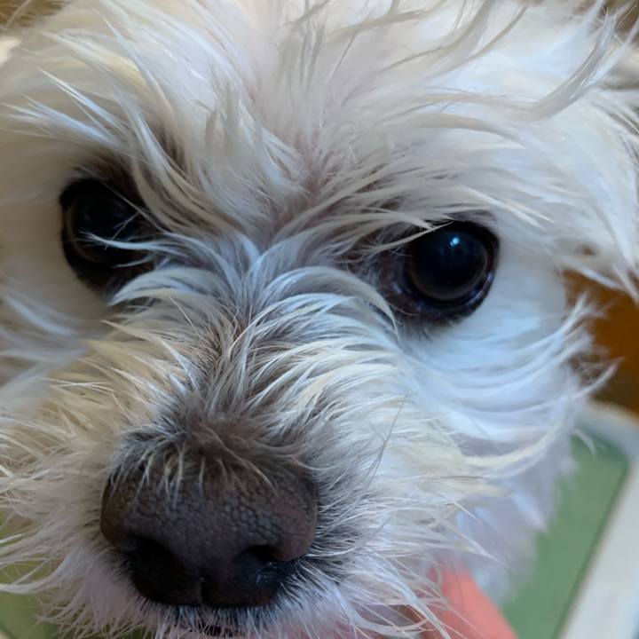 71e44d98 0841 4ff9 8938 801bc0101705 1639225303624