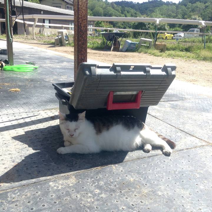 71e45214 55c9 42ed a9b3 0c78b72b12d8 1526787731937