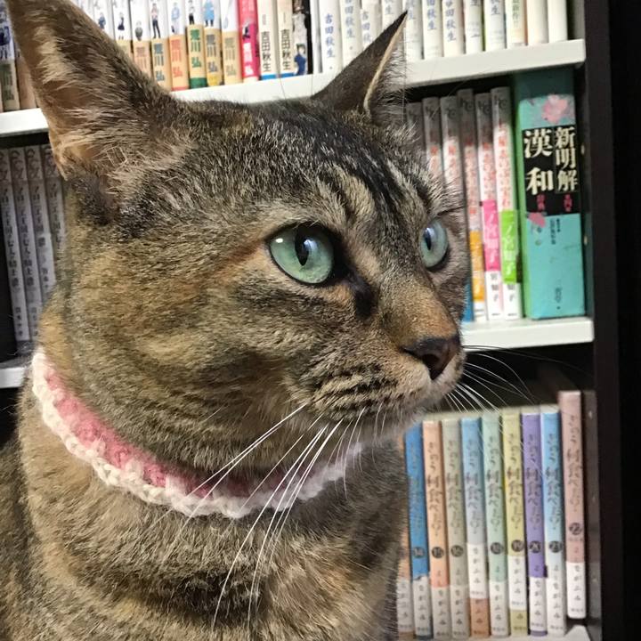 71e4de47 9486 4698 9160 b122eeef9396 1719828362521