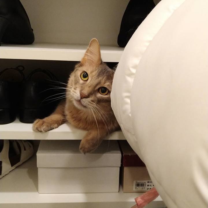 71e518bb 103a 466b a6af cc7f12487df7 1622714308919