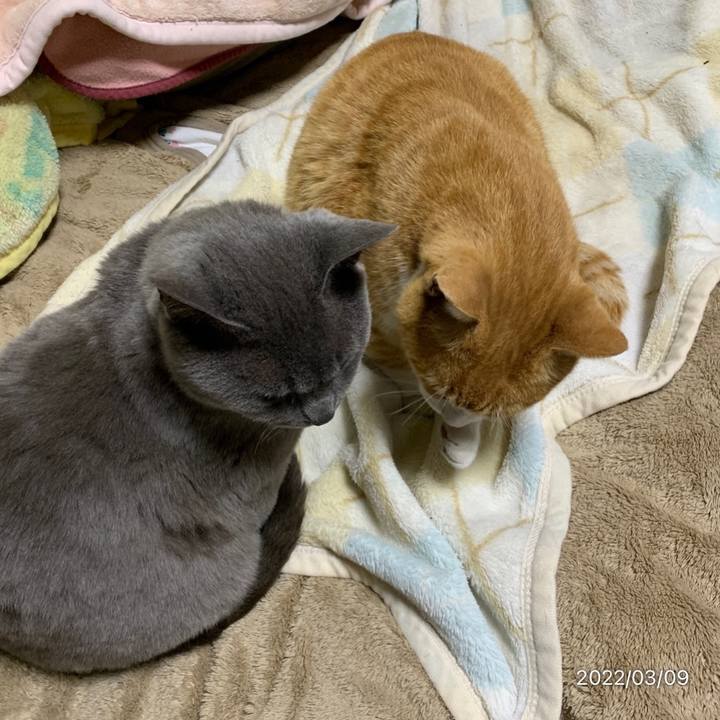 71e51ce1 9fc4 4970 900a 1b9da4945836 1646834334974