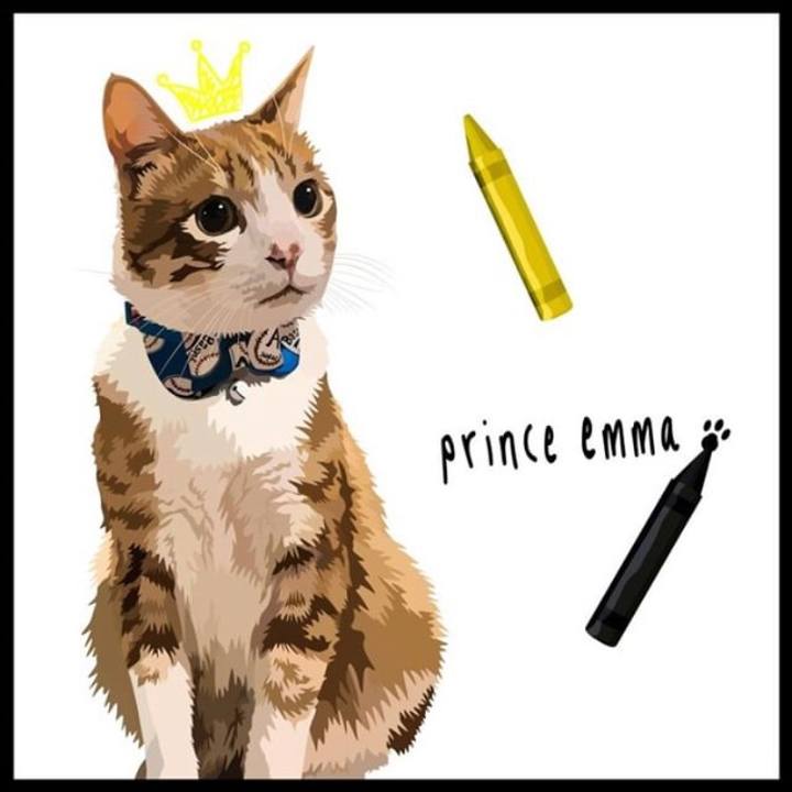 71e544ba cc1c 416d bb57 645a65a5dc1e 1541284486354