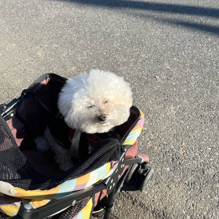 71e55054 af83 49b9 80fa 8b94cf800af8 1770971264681