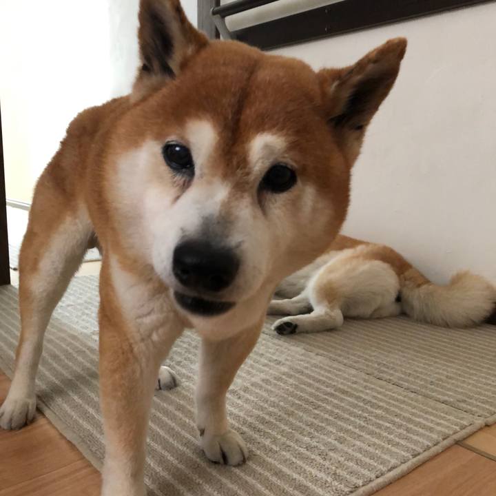 71e55617 e9c2 4418 a7d4 38db4972dcc6 1558843832738