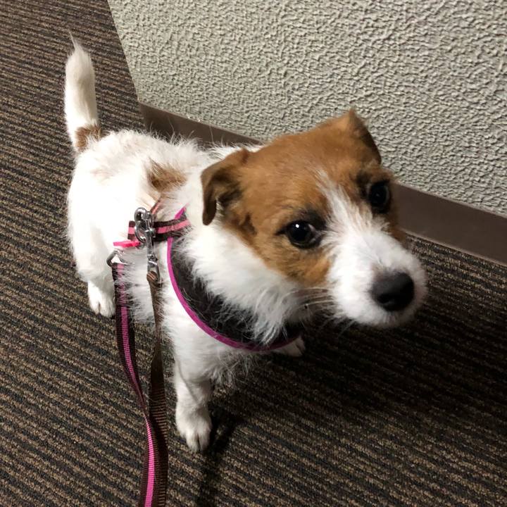 71e55e77 c13b 47d6 92da ef6011c5e00b 1523197255781