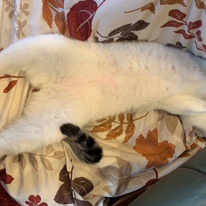 71e57b60 ca3a 4d73 ba19 d8bea278dd45 1578558487164