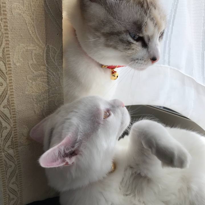 71e57cda 558e 4d6b 9c3b 81bf5a134279 1511073266502