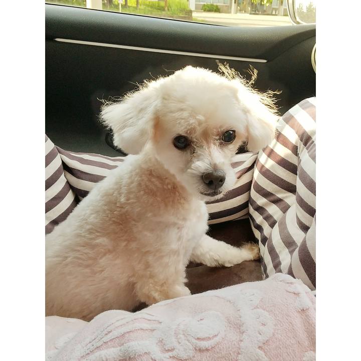 71e5b305 a3aa 4cf1 bfed e519027c7203 1659086151992