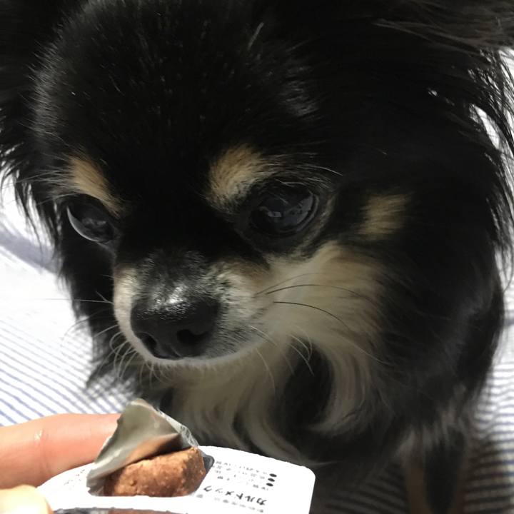 71e5d334 83cb 4c67 af0b 9fac5753d8e9 1509628703434