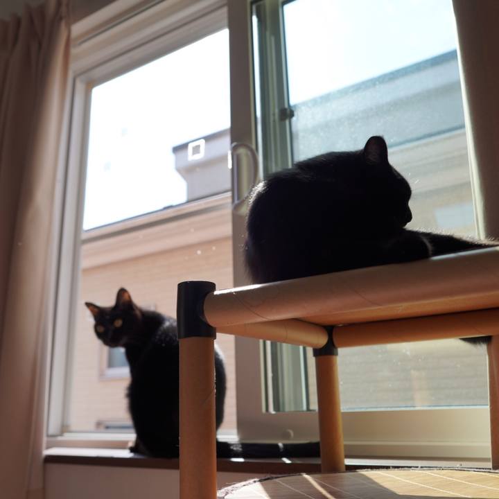 71e5e053 4658 4351 b49c 51a8e2f670de 1603724275771