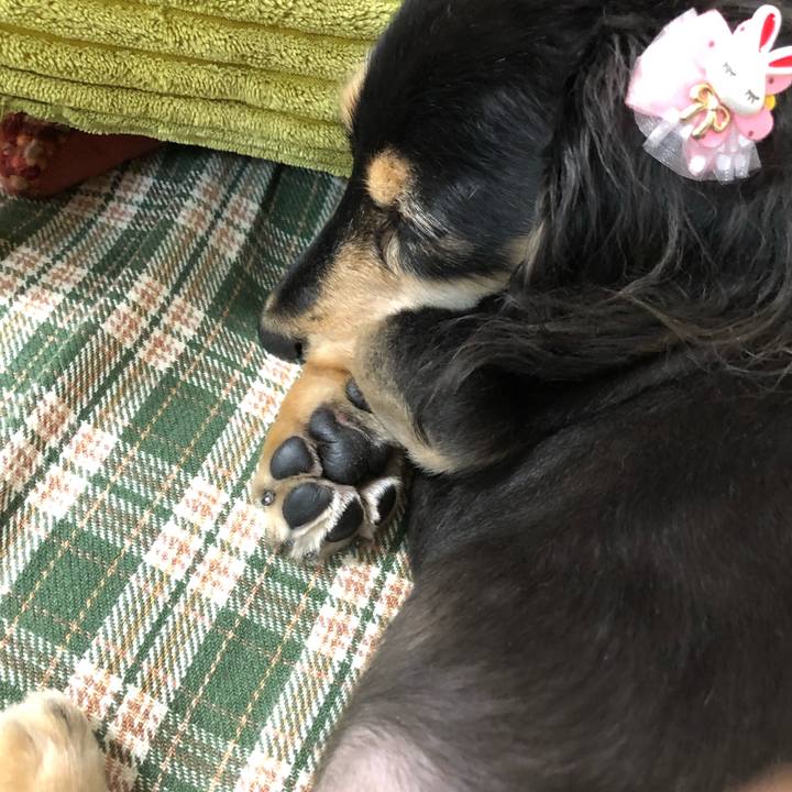 71e5e4ec a072 4f0b ae0a c402d4d9fac4 1605707065554