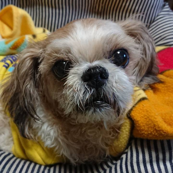 71e603be 2806 483d 9b16 3962e16c6dff 1614841135142