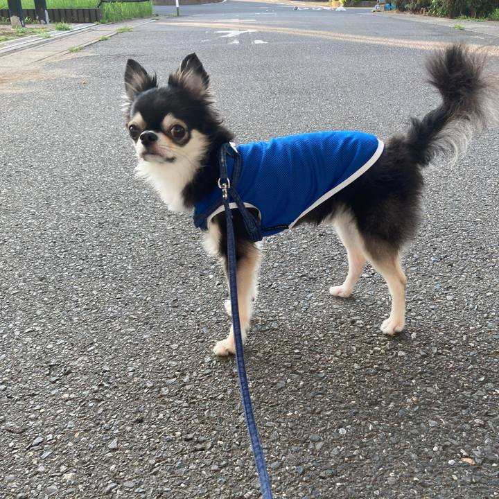 71e60881 ec86 46c2 97da c9935b21ab44 1692460540739