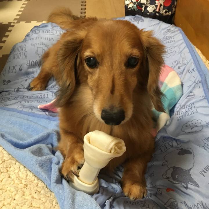 71e614c3 01d5 482c a2da 94513fc6b886 1600092288382