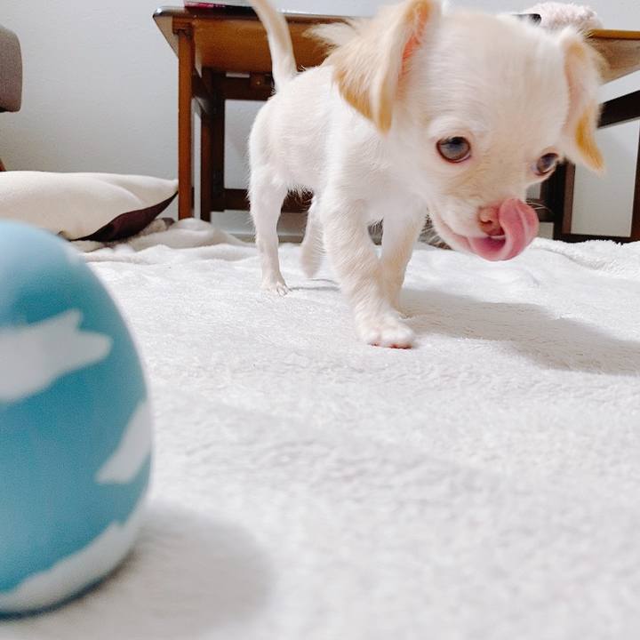 71e64a96 3710 4025 8e0e 5842540a9fe6 1591575319036