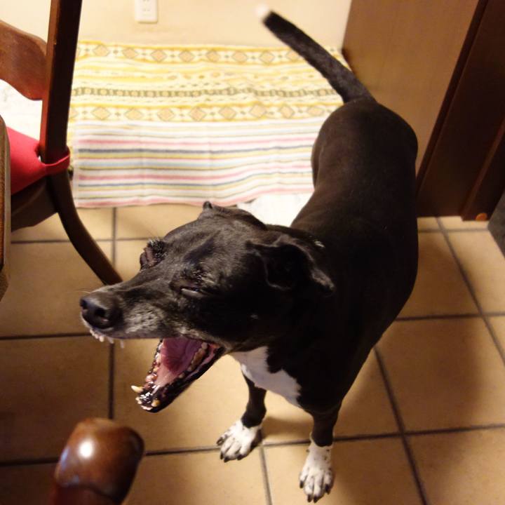 71e67fc1 d793 4717 9dbb 617e101320e3 1727568660395