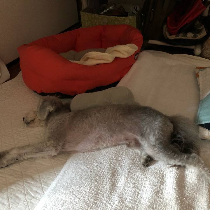 71e685c6 f15b 4215 864e 98e8e84a9196 1565305763108