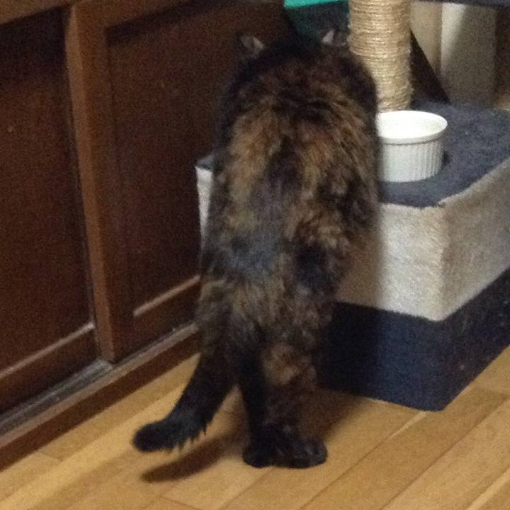 71e68e9a 6fa2 427a 95bd 97a2717c09e5 1537588920926