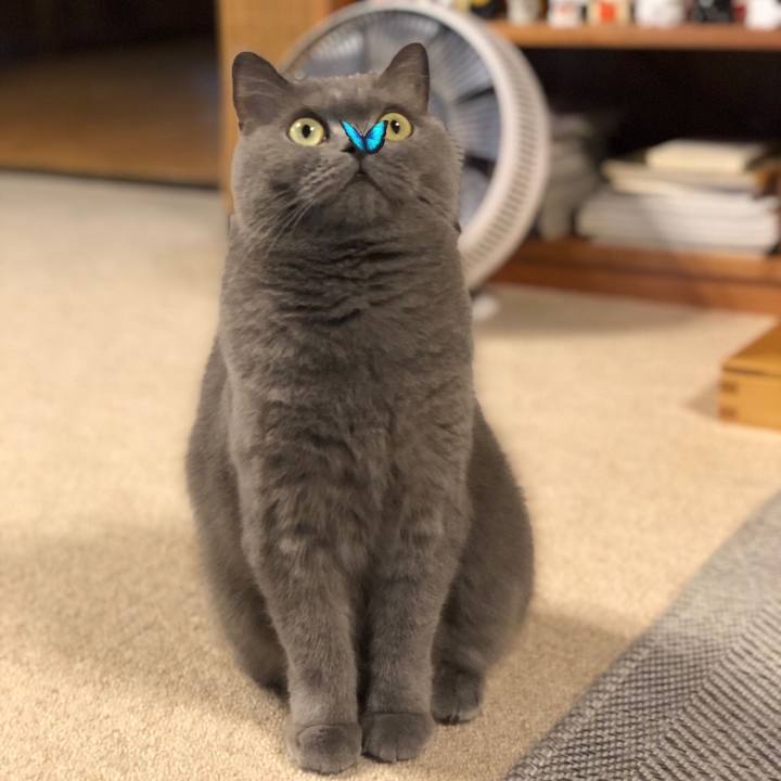 71e690f7 effa 42ec 8914 13c6c4ee990b 1569579616632