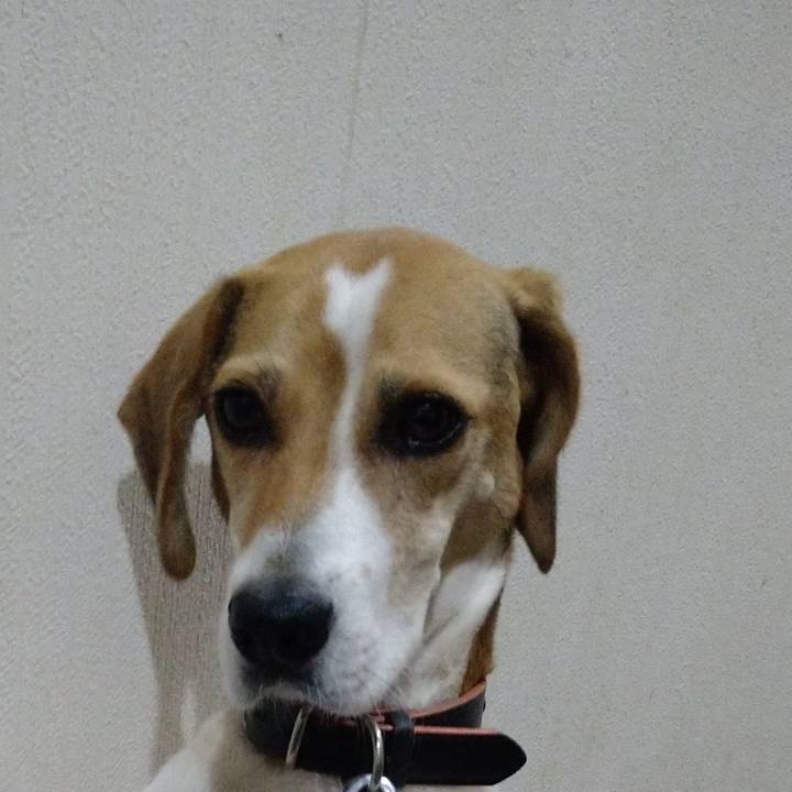 71e69422 d236 4e01 bf57 176a0c6d717b 1634132541751