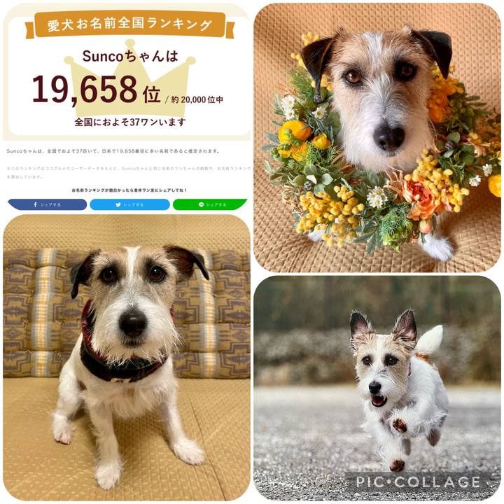 71e6ace9 18c9 4de9 9d35 da180f3eaf83 1684568765797