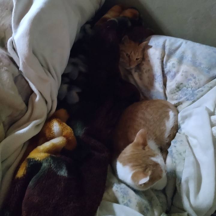 71e6d43b 162b 4236 947e 17f888bda027 1732863580234