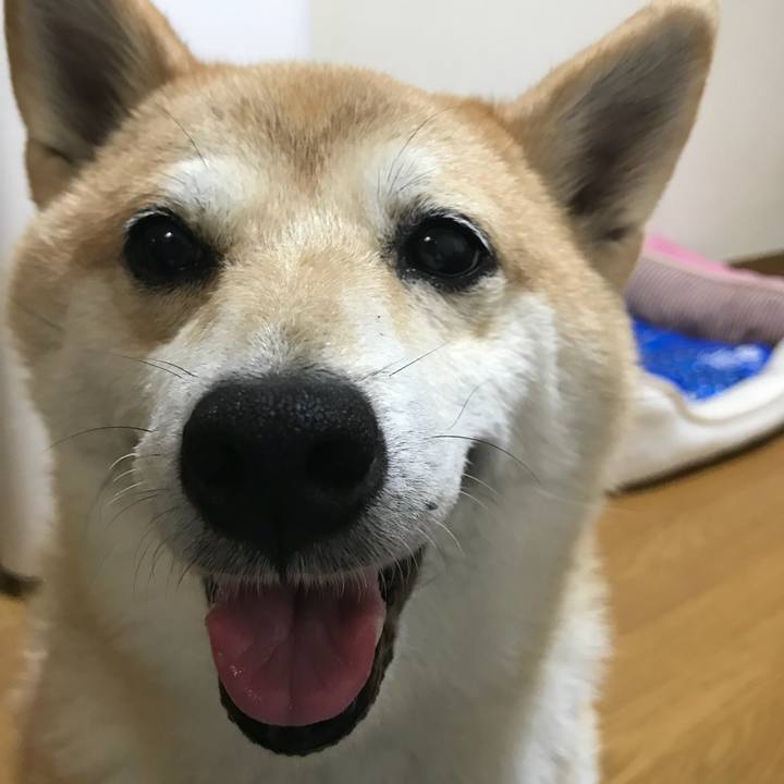 71e6d7c8 1a41 4cdc b7bd 6cb1958d1835 1535461618169